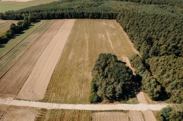 Działki budowlane pod lasem - Plebanki / 12 km Koło
