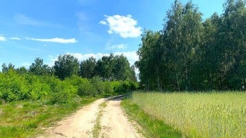 Dom Obrzębin k. TURKU na sprzedaż