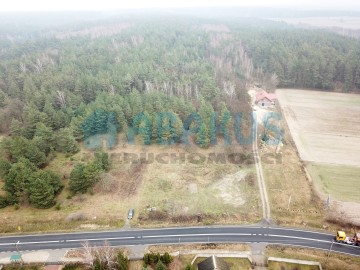 Działka pod zabudowę jednorodzinną z lasem - Kępina