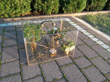 Terrarium 40x30x26cm do patyczakòw, pająkòw