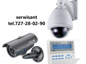 Serwisant, Elektronik - Systemy Alarmowe, Monitoring.