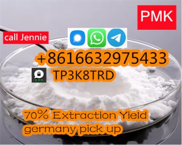 germany warehouse PMK ethyl glycidate CAS 28578-16-7 PMK wit