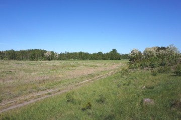 Na sprzedaż działki - Gmina Rzgów, Zarzewek - 40 zł/m2