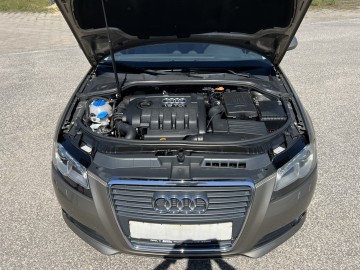 Audi A3 1.9 DIESEL Klimatronik Tempomat Xenon Ledy