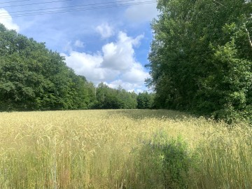 Działka na sprzedaż Milejów gmina Kawęczyn