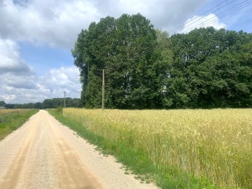 Działka na sprzedaż Milejów gmina Kawęczyn