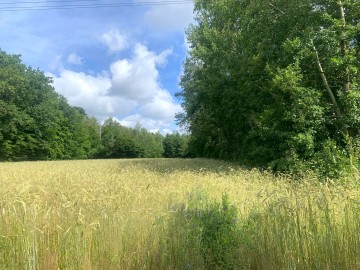 Działka na sprzedaż Milejów gmina Kawęczyn