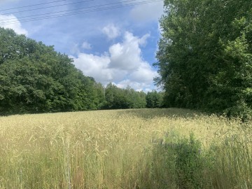 Działka na sprzedaż Milejów gmina Kawęczyn