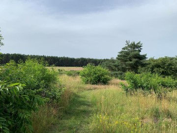 Malowniczo połozona działka na sprzedaż POSOKA