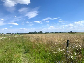 Cztery działki budowlane na sprzedaż BRUDZEW powiat turecki