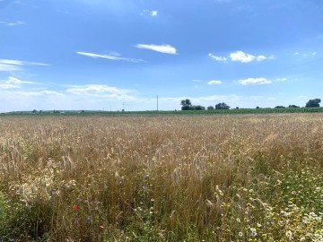 Cztery działki budowlane na sprzedaż BRUDZEW powiat turecki