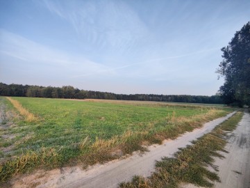 Na sprzedaż duże działki z warunkami zabudowy -Osiecza I