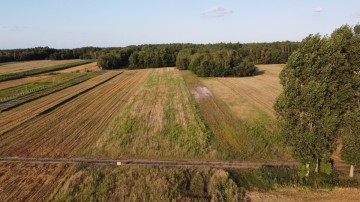 Na sprzedaż duże działki z warunkami zabudowy -Osiecza I