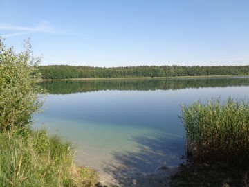 Dom nad jeziorem – Tręby