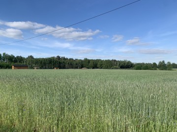 Działki budowlane na sprzedaż Rogów gmina Przykona