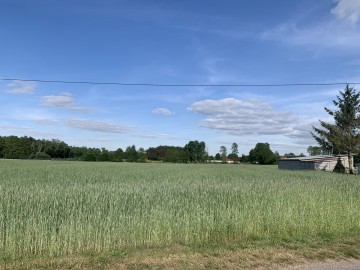 Działki budowlane na sprzedaż Rogów gmina Przykona