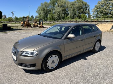 Audi A3 1.9 DIESEL Klimatronik Tempomat Xenon Ledy