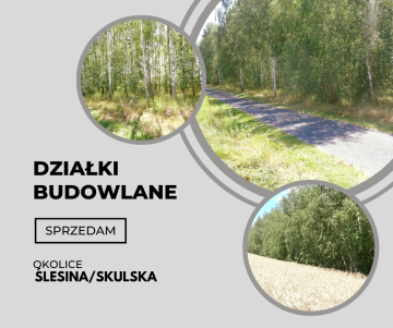 Okolice Ślesina/Skulska – Działki Budowlane