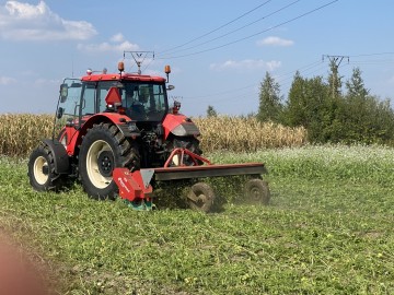 Mulczowanie po kukurydzy ,poplonow