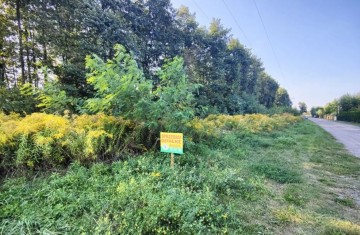 Działka budowlana o pow. 2605m2 na obrzeżach miasta-Wilków