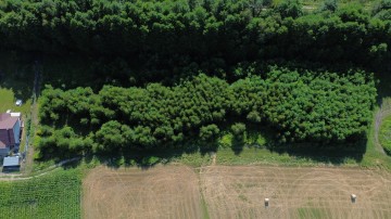 Sprzedam działkę budowlaną 12 ar w Rudzicy