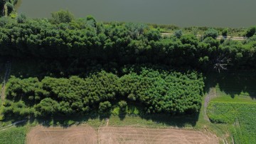 Sprzedam działkę budowlaną 12 ar w Rudzicy