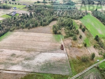 Działka rolna idealna na stadninę - Brzózki, gm. Kramsk