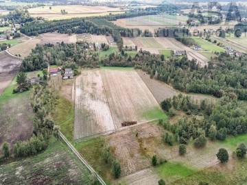 Działka rolna idealna na stadninę - Brzózki, gm. Kramsk