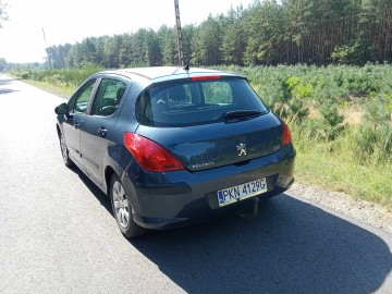 Peugeot 308 Panorama Hak