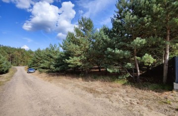 Działka budowlana położona w sąsiedztwie lasów - gm. Krzymów