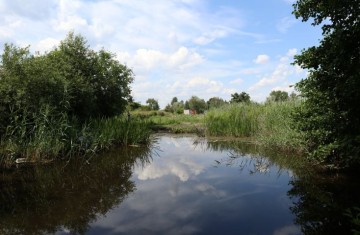 Sprzedam działkę rekreacyjną, ze stawem, w pobliżu jeziora