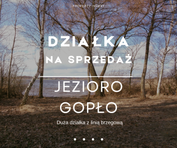 Jezioro Gopło – Działka z linią brzegową