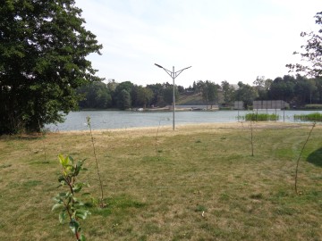Jezioro Ślesińskie – Domki z bali, pierwsza linia brzegowa