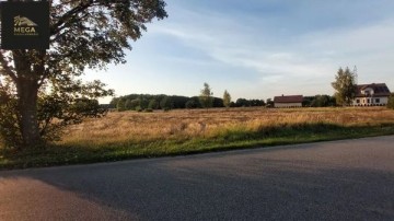 Działki Rosocha-Kolonia ,gm. Golina, pow. Konin