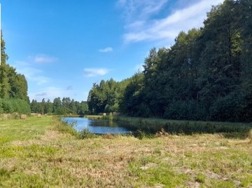 Działka ze stawem i decyzją o warunkach zabudowy!