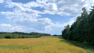 działki budowlane na sprzedaż Kowale księże gmina TUEK