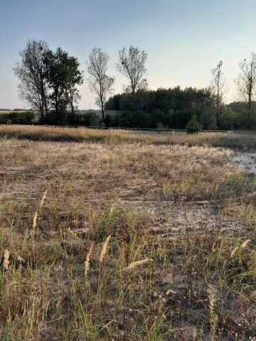 Sprzedam działkę budowlaną Kramsk-Łęgi MPZP
