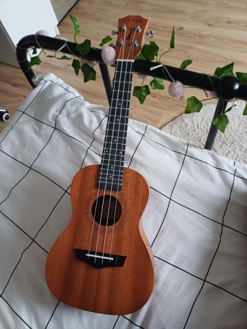 Ukulele