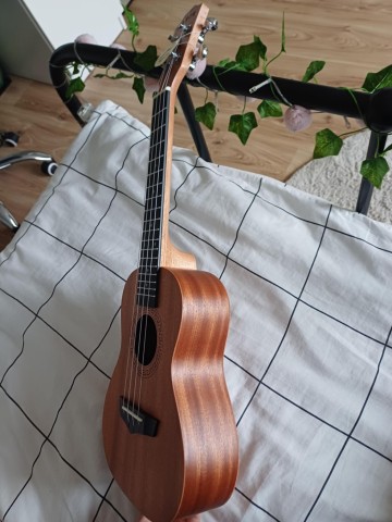 Ukulele