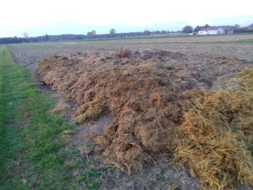 Sprzedam bądź wymienie obornik