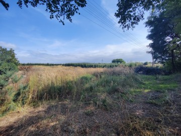 Działka budowlana o pow. 3824m2, Mostki gm. Sompolno