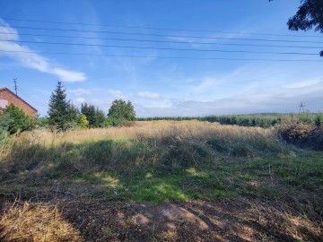 Działka budowlana o pow. 3824m2, Mostki gm. Sompolno