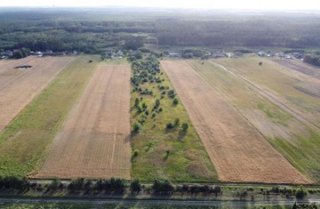 Grunty rolne o pow. 3.80 ha z zabudowaniami-gm. Ślesin