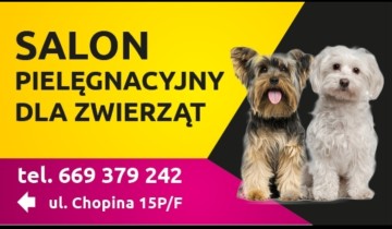 Salon groomerski-Konin-Chopina 15P/F-tel.669-379-242