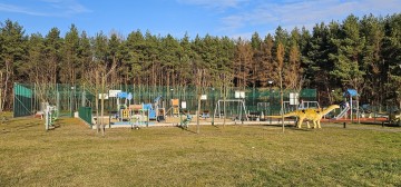 Domy na sprzedaż Zychlin ul Cisowa
