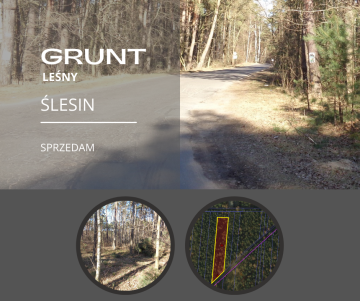 Ślesin – Działka Leśna