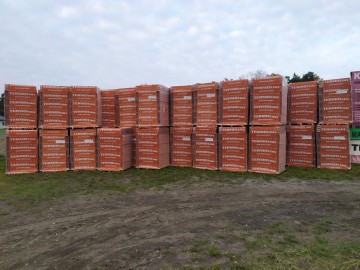 Pustak ceramiczny Termoton 25 P+W Owczary cegła