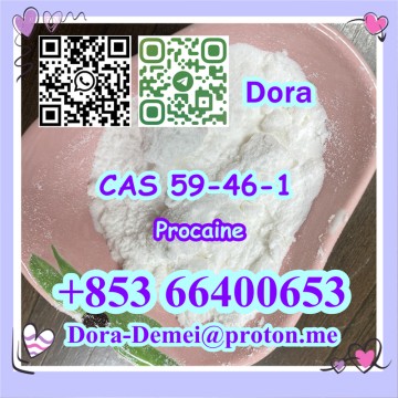 Procaine，CAS 59-46-1