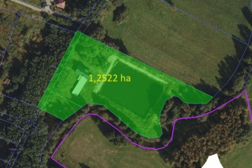 budynek mieszkalny z basenem , działka 1,25 HA  ,  POSOKA