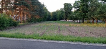 Sprzedam atrakcyjną działkę budowlaną z aktualną WZ